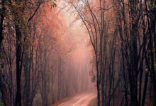 NBA常规赛即将结束季后赛激烈开启