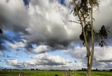 斯洛文尼亚队客场战平克罗地亚，表现稳定