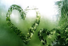 河南建业连胜，积分攀升，继续往前迈进