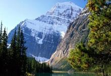 欧洲代表队获得亮眼表现，斩获奖牌