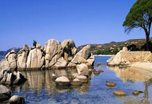 赛场热辣！中超球队的豪华实力比拼